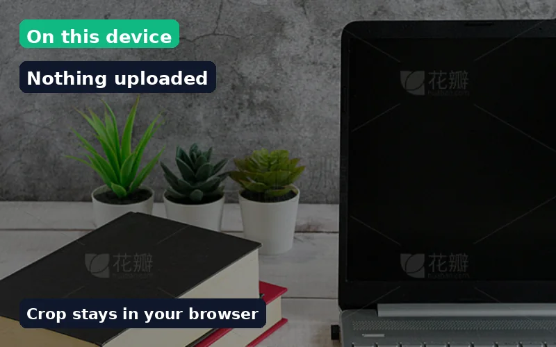 Laptop suggesting on-device image crop